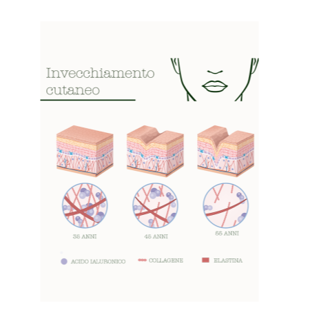 Fermentati Complex