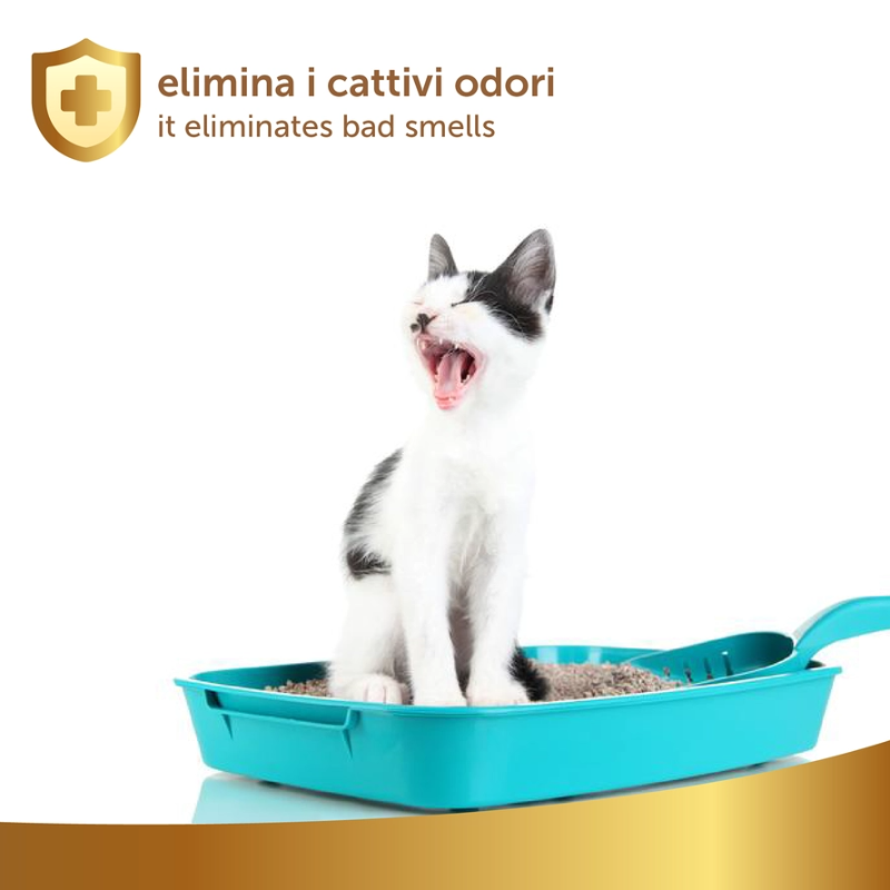 LettieraZero elimina odori