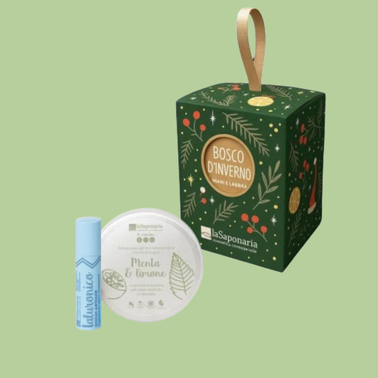 Lanterna Bosco d'inverno