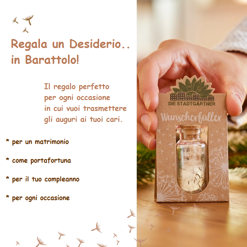 Barattolo Esprimi un Desiderio