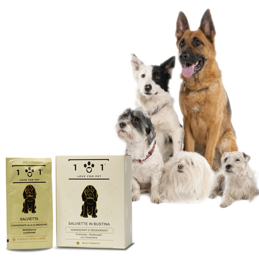 Salviette Igienizzanti Cani e Gatti