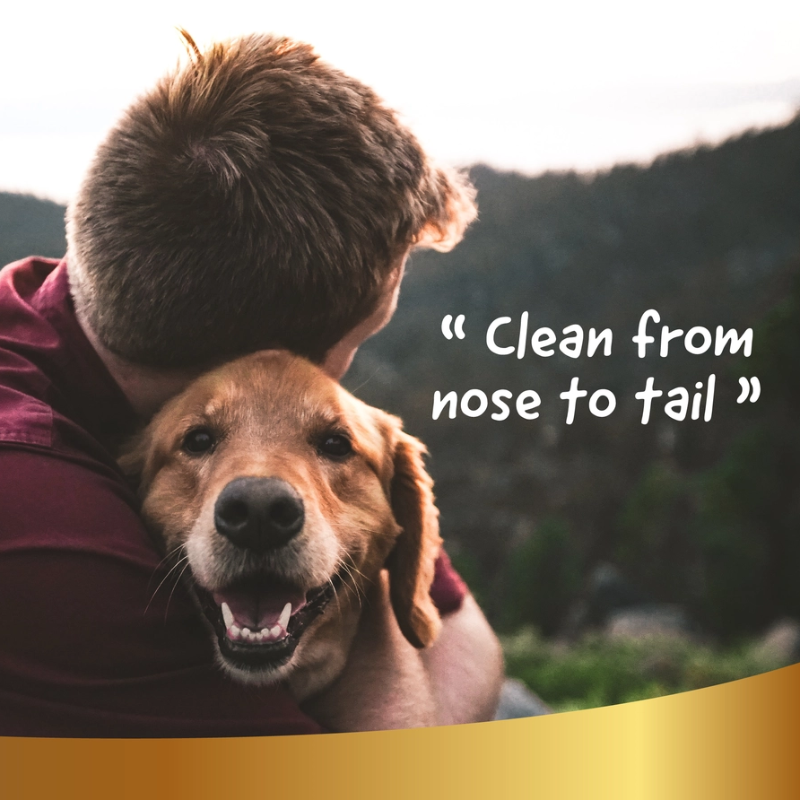 Shampoo Secco per Cani