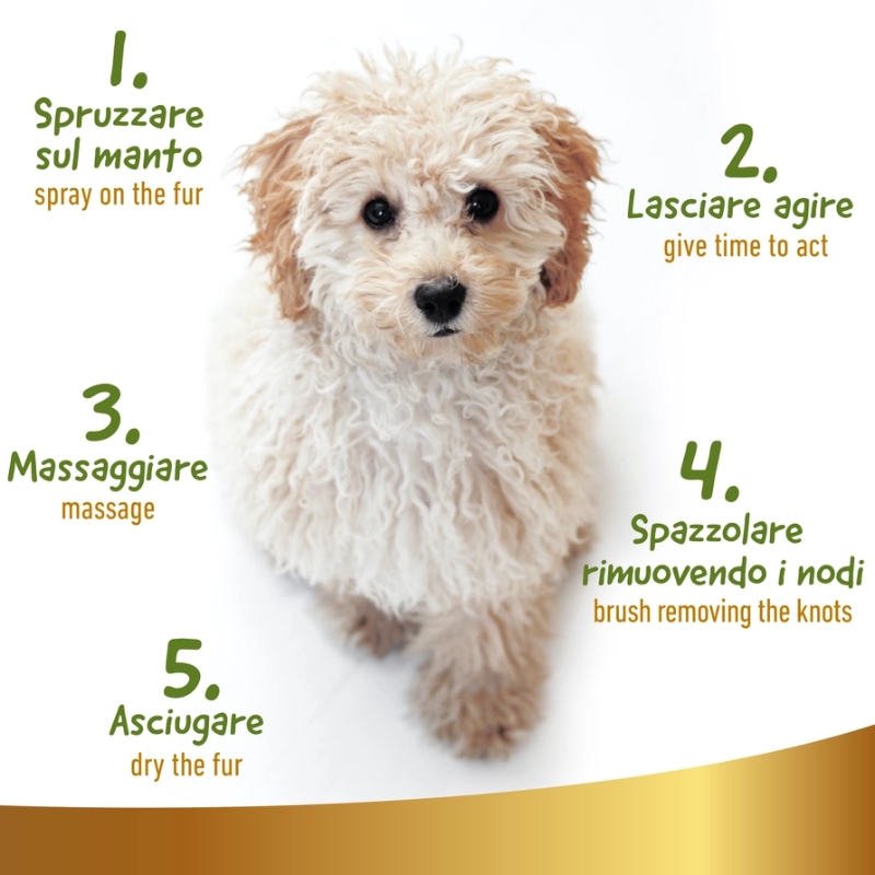 Shampoo Secco per Cani