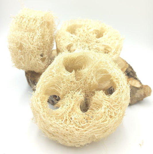 Spugna Luffa naturale dischetto