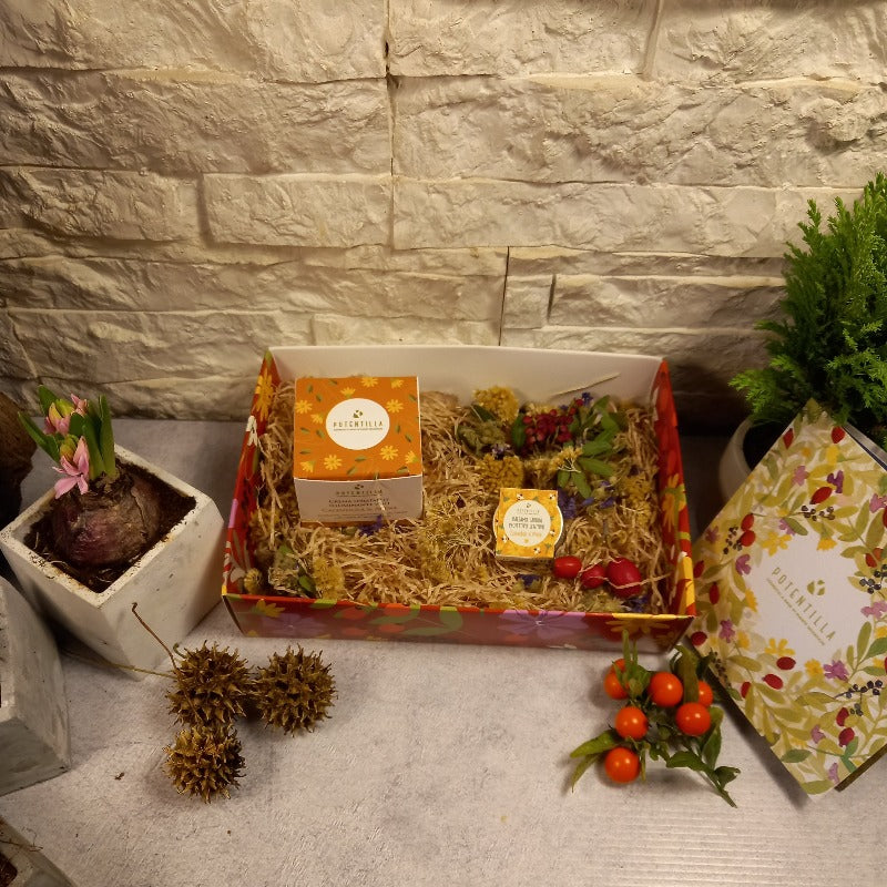 Gift Box So Delicate
