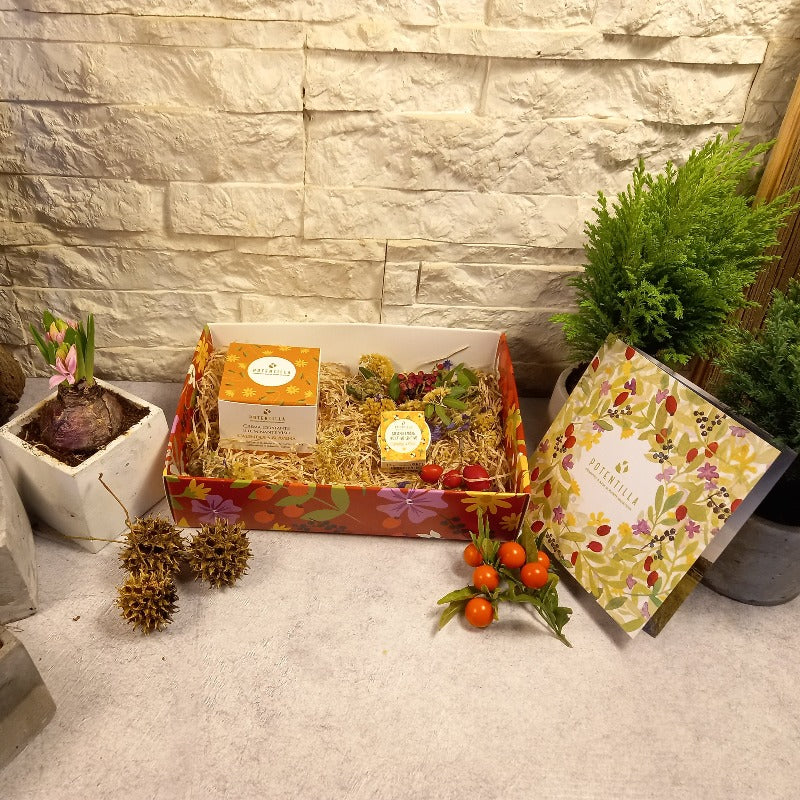 Gift Box So Delicate