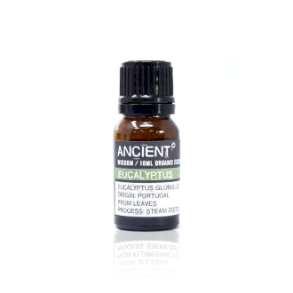 Olio Essenziale Eucalipto Bio