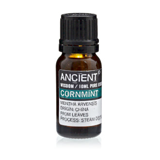 Olio Essenziale Menta Arvensis
