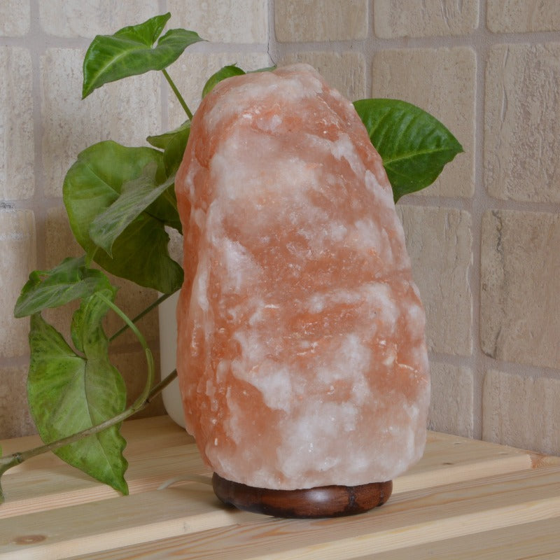 Lampada di Sale da 1,5/2kg