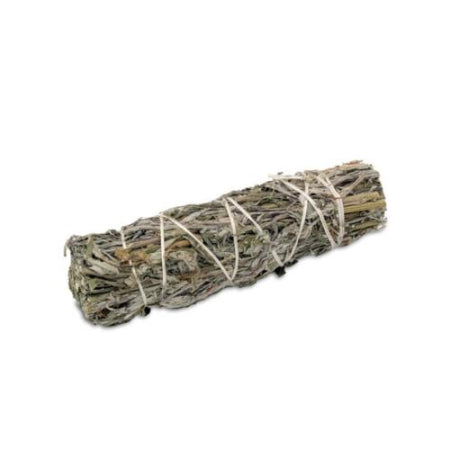 Artemisia