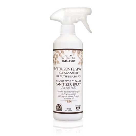Detergente Spray Igienizzante per tutte le superfici
