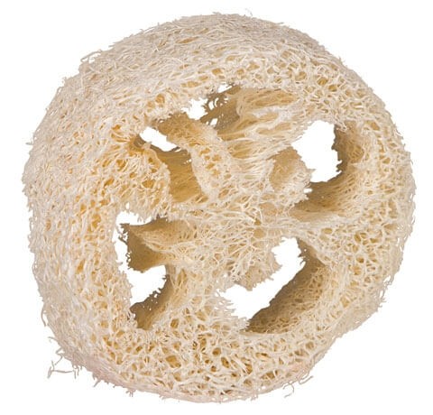 Spugna Luffa naturale dischetto