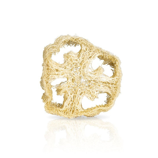 Porta Solido Naturale in Luffa