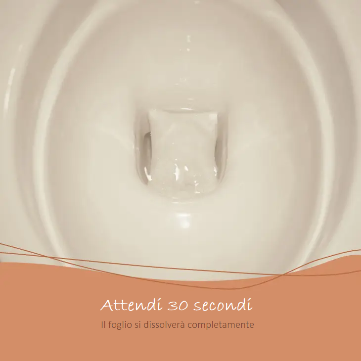 Detergente WC in Fogli