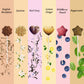 Set regalo Tea-Pop in elegante scatola con 18 deliziosi Tea-Pop