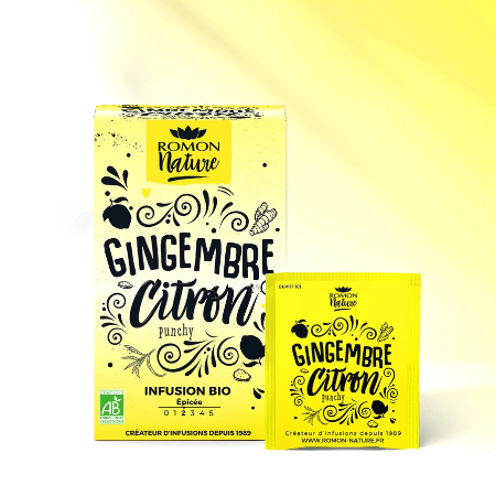 Infuso Zenzero Limone BIO