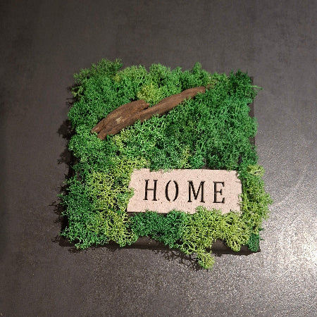 Quadro Lichene Stabilizzato artigianale