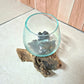 Blown Glass Vase on Wood