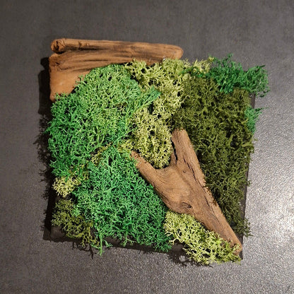Quadro Lichene Stabilizzato artigianale