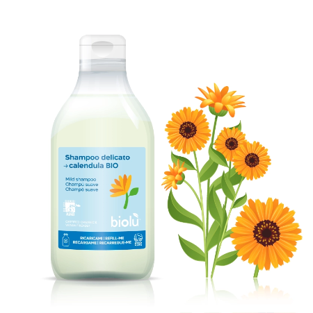 Shampoo Calendula Bio