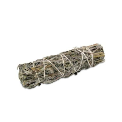 Artemisia